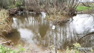 Catching BIG TROUT in a small stream.